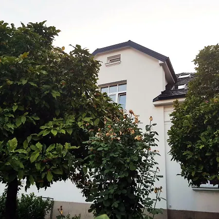 Stern, Apartman 1